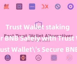 Trust Wallet staking Store Your BNB Safely with Trust Wallet's Secure BNB Wallet